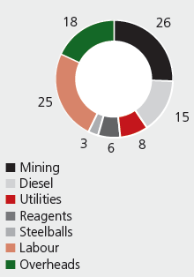 PGM CASH COST OF SALES